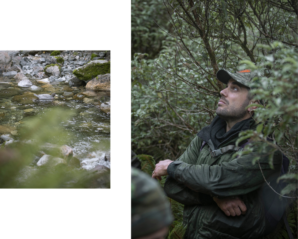 Davaar X WithWild — A Natural Partnership