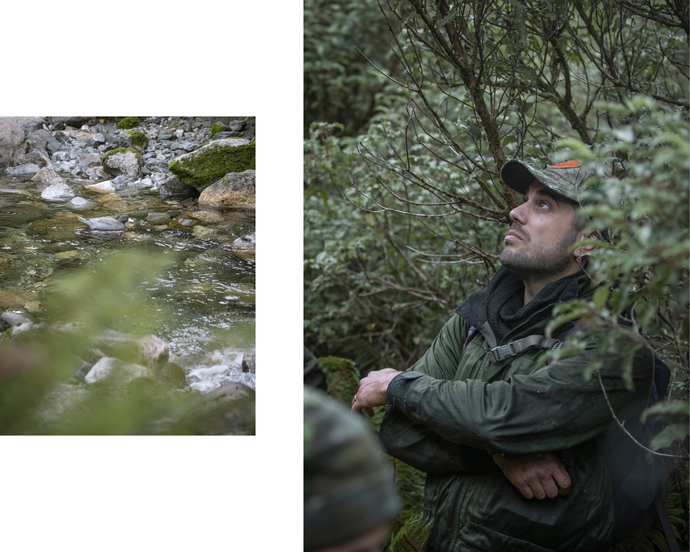 Davaar X WithWild — A Natural Partnership