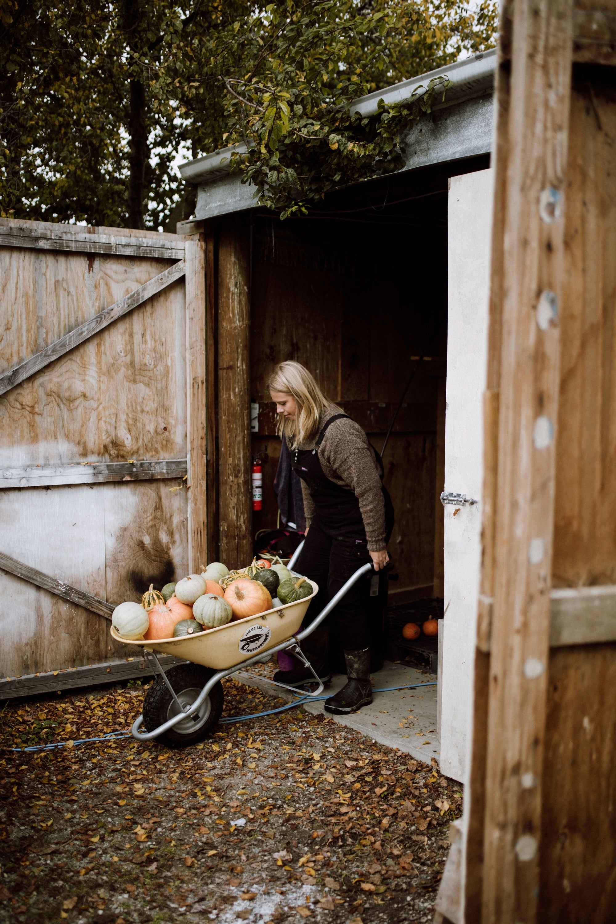 Wearer's of Davaar - Gillian Swinton